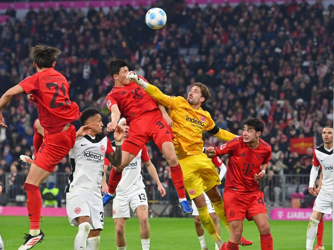 关于国际比赛日拜仁慕尼黑备战NBA总决赛；再遭质疑细节曝光；赛场秩序良好；团队化学反应显著的信息-九游